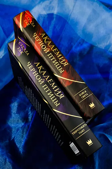 Академия Черной птицы. Бойся света - фото 6