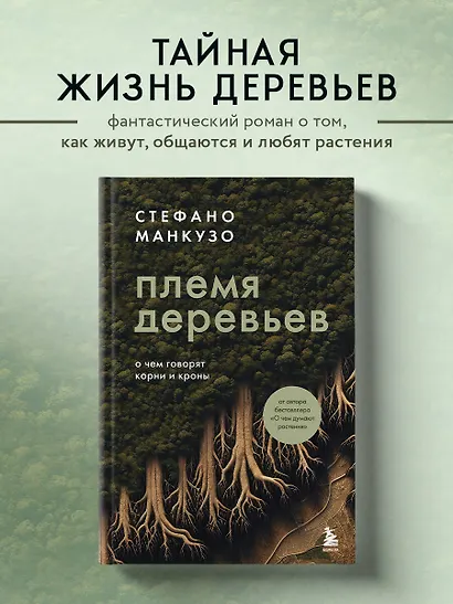 Племя деревьев. О чем говорят корни и кроны - фото 4