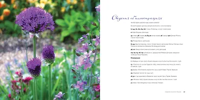 Клод Моне. Идеи импрессионизма для повседневной жизни - фото 8