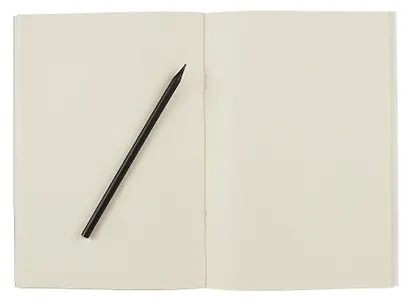 Тетрадь нелинованная "Белые лепестки подобны снегу", B5, 32 листа - фото 2