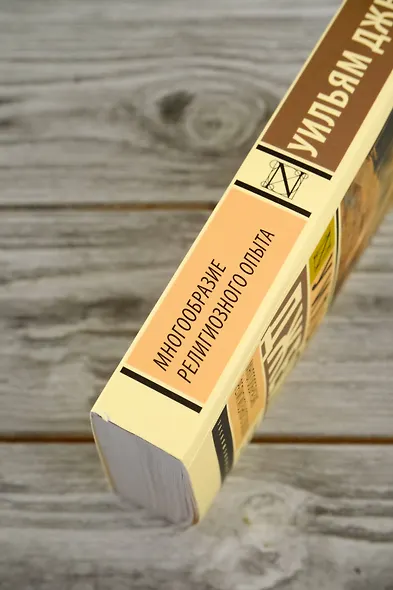 Многообразие религиозного опыта - фото 7