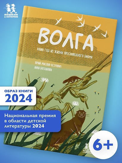 Волга: один год из жизни пресноводного биома - фото 1