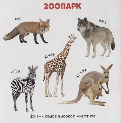 Знакомство с окружающим миром - фото 4