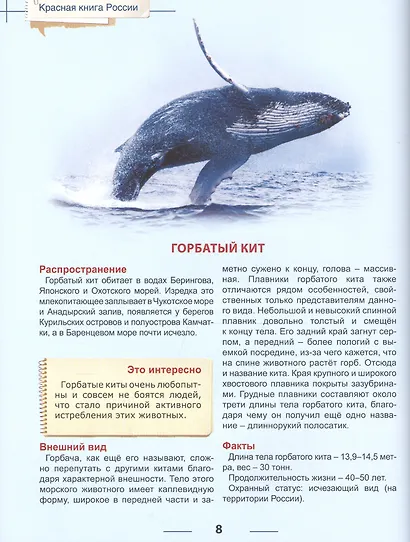 Энциклопедия для детей красная книга россии - фото 6