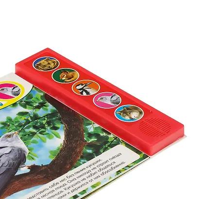 Звуки леса - фото 3