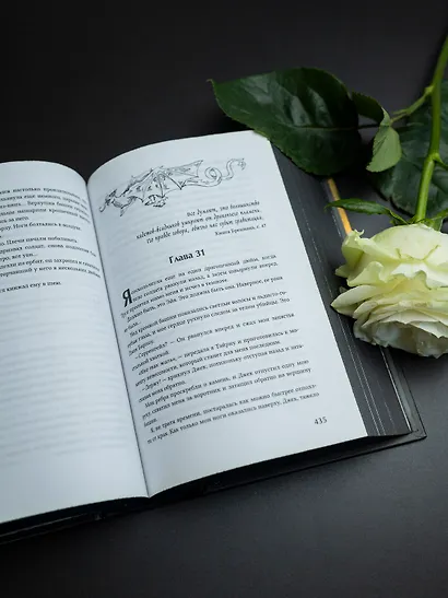 Железное пламя - фото 11