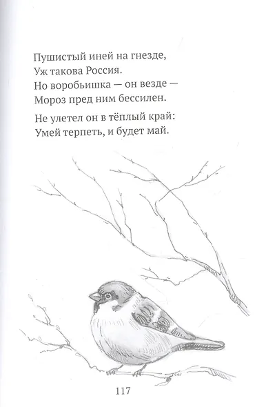 Тимошины чудеса: Зима! - фото 8