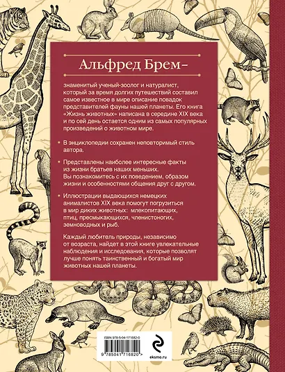 Жизнь животных. Большая иллюстрированная энциклопедия - фото 2