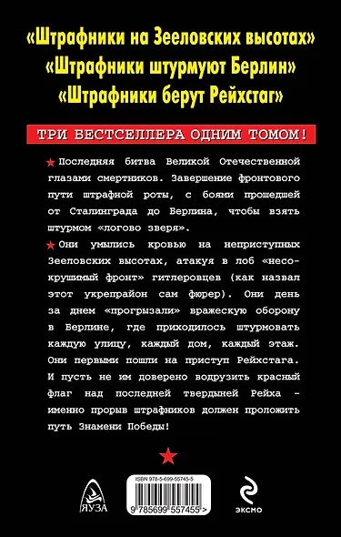 Штрафники в "логове зверя". Последний штурм. Три бестселлера одним томом - фото 2