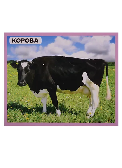 Домашние животные. 20 карточек - фото 5