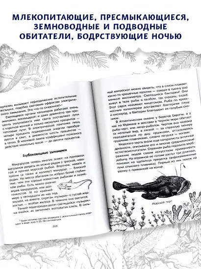 С вечера до утра - фото 4