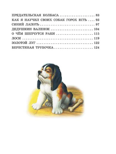 Лисичкин хлеб. Рассказы - фото 12