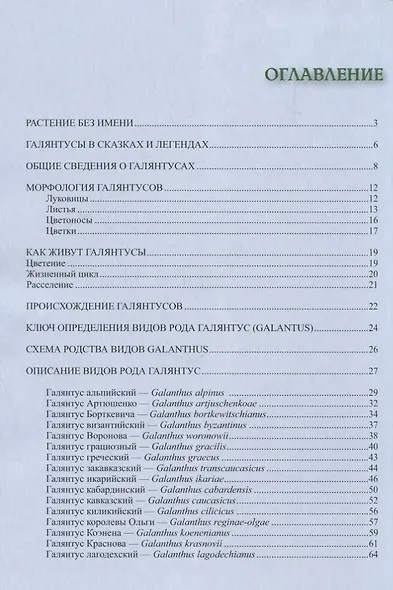 Галянтусы - фото 2