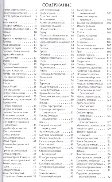 Птицы - фото 3