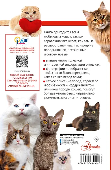 Литература с видео-уроками - фото 2