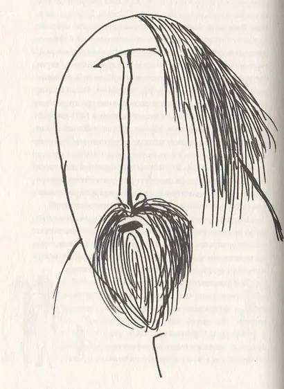 Завирухи Шишова переулка (2 изд.) (ОтделИзд) Кочергин - фото 4