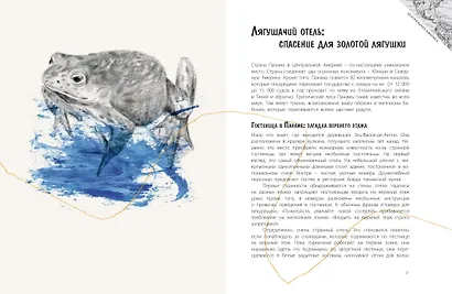 Эффект домино. Невидимые нити природы - фото 4