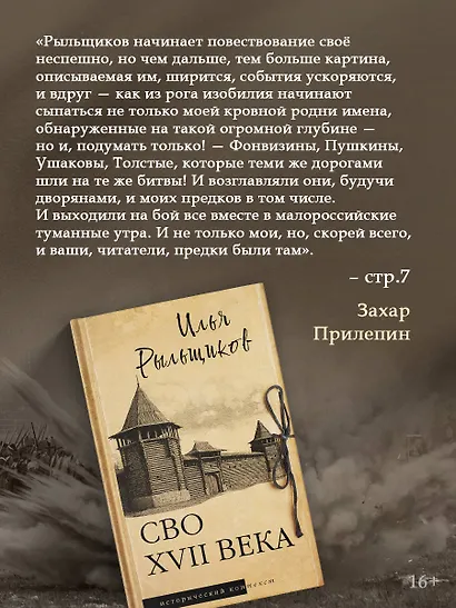 СВО XVII века - фото 4