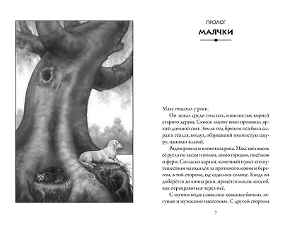 Верные. Книга 3. Дорога чудес и невзгод - фото 4