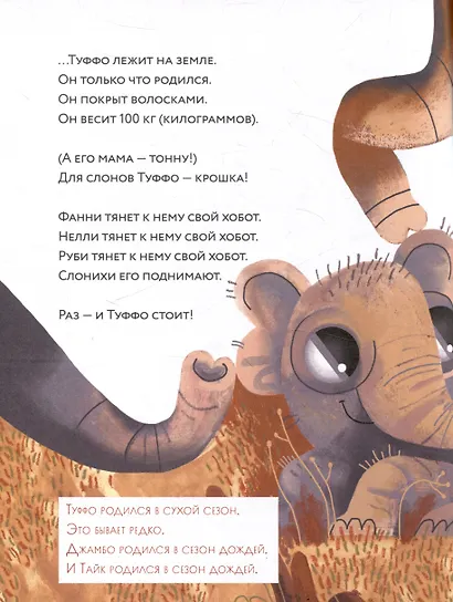 Слоны идут! Уровень II - фото 5