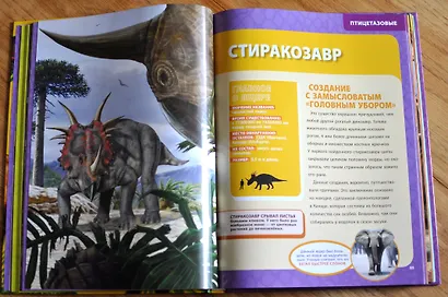 Большая энциклопедия динозавров - фото 4