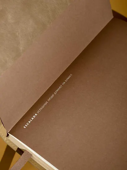 Ежедневник недат. А5+ 160л "Фланстер" бежевый, мягк.переплёт, иск.кожа, ляссе, подар.карт.коробка с ПВХ-крышкой - фото 9