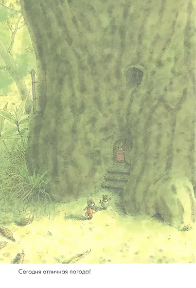 14 лесных мышей. Пикник - фото 2