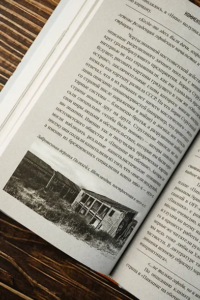 Пикник на обочине. Иллюстрированное издание с комментариями - фото 10