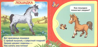 Домашние животные. - фото 4
