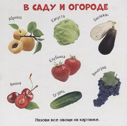 Знакомство с окружающим миром - фото 2