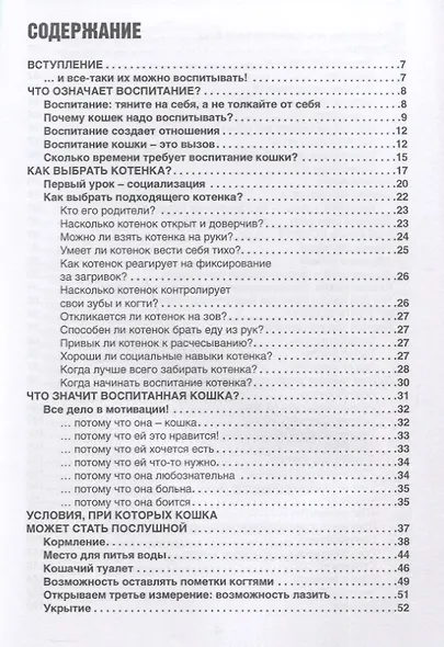 Воспитание кошки. Как наладить гармоничную жизнь со своей кошкой - фото 2