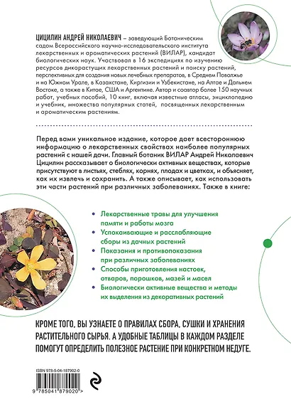 Декоративные лекарственные растения на даче. Как выращивать, заготавливать и применять 200 популярных видов - фото 2