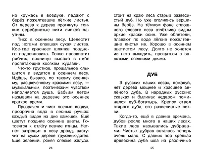 Листопадничек. Рассказы - фото 13