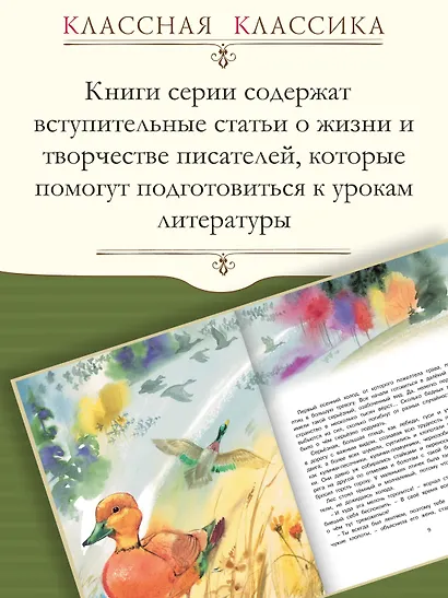 Сказки - фото 4