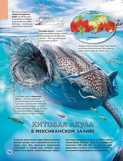 Моря и океаны. Иллюстрированный атлас - фото 4
