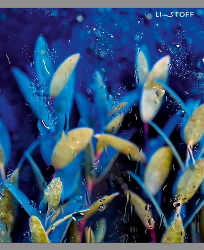 Тетрадь в клетку Listoff, "Сквозь дождь", 96 листов - фото 4