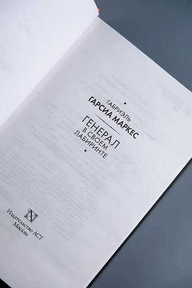 Генерал в своем лабиринте - фото 8