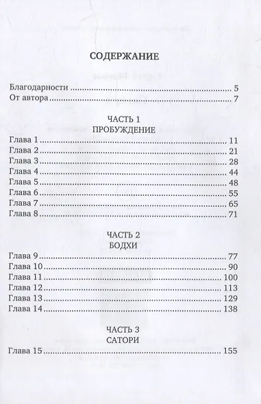 Сатори - фото 2