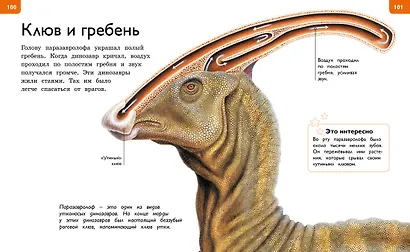Новая энциклопедия для любознательных - фото 8
