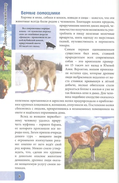 ЭНЦИКЛОПЕДИЯ. В МИРЕ ЗНАНИЙ. ДОИСТОРИЧЕСКИЙ МИР - фото 4
