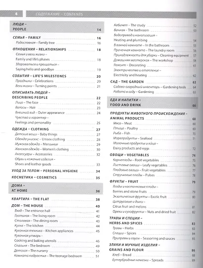 Английский язык. Иллюстрированный словарь+приложение - фото 2