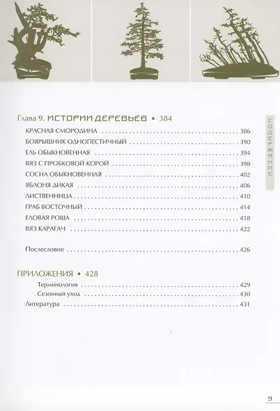 Бонсай. Маленькие деревья для большой радости - фото 6