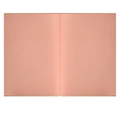 Ежедневник учителя А5 160л "ШЕВРЕТ РОЗОВЫЙ" кожзам, блинт.тисн., цветн.срез, два ляссе, закладка из иск.кожи - фото 4