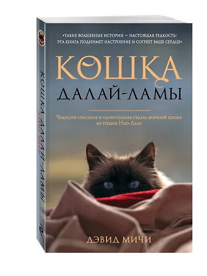 Кошка Далай-Ламы. Чудесное спасение и удивительная судьба уличной кошки из трущоб Нью-Дели - фото 3