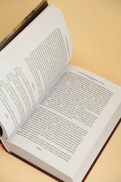 Скарлетт - фото 12