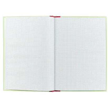 Книга учёта, клетка, 96 листов, А4 - фото 2