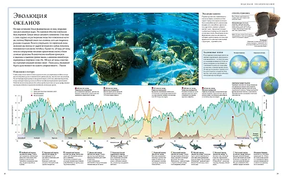 Океаны. Иллюстрированный атлас - фото 7
