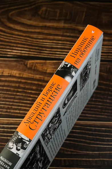 Пикник на обочине. Иллюстрированное издание с комментариями - фото 6