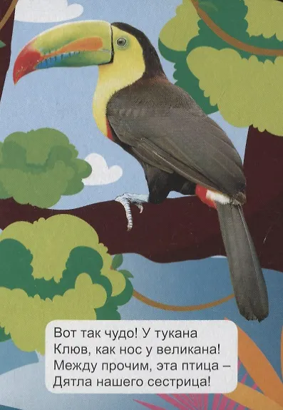 Животные джунглей - фото 4