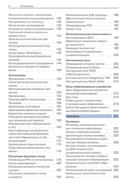 Наглядная генетика - фото 3